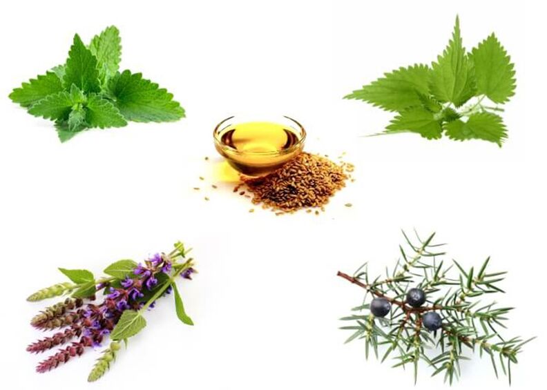 Mint, nettle, thyme, einer and linse seed oil