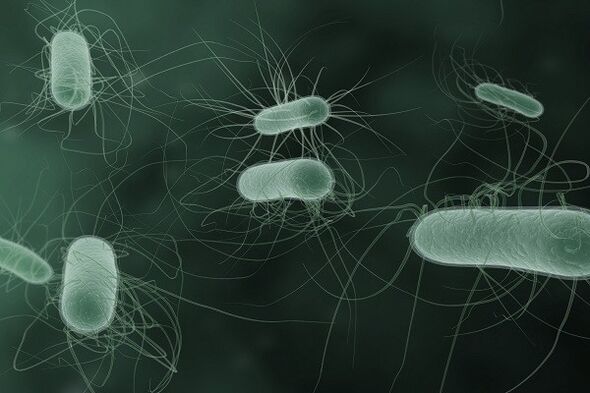 microorganisms that cause pathological discharge when excited