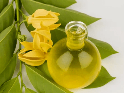 Aromatherapy to improve the strength